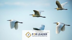 Il- Leader -Catalizzatore