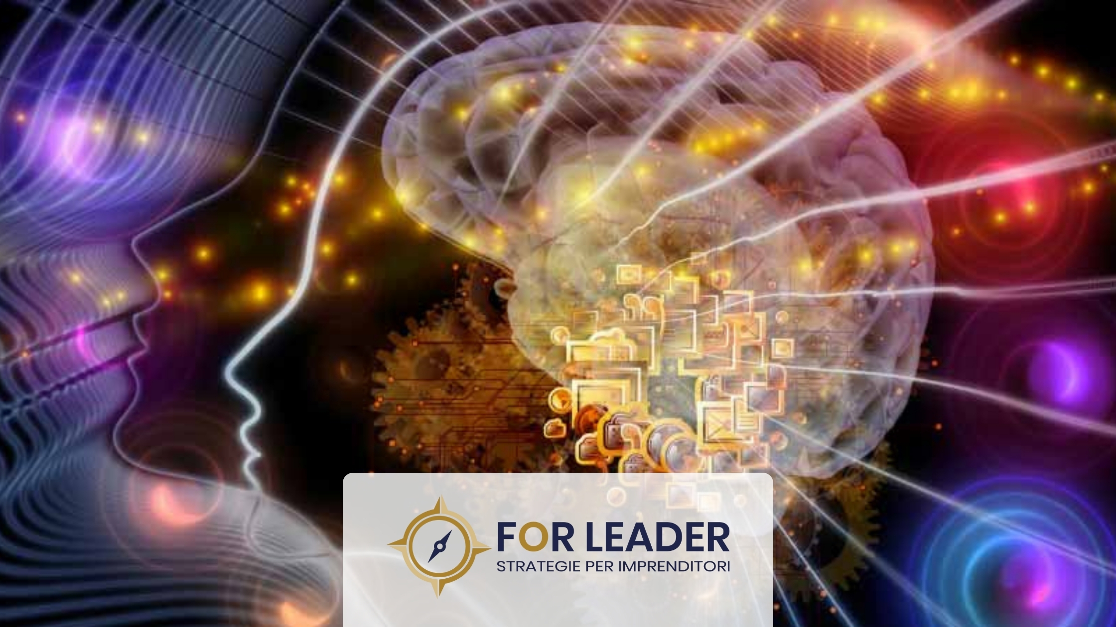 La Legge di Risonanza e il Primo Principio della Leadership Professionale